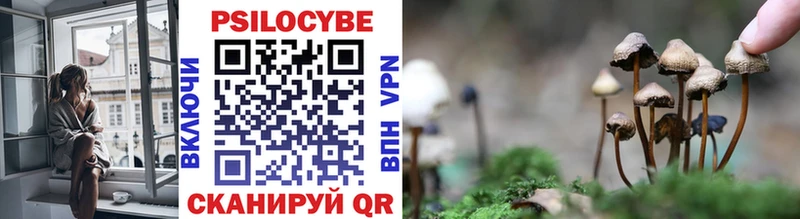 Псилоцибиновые грибы мухоморы  Малая Вишера 